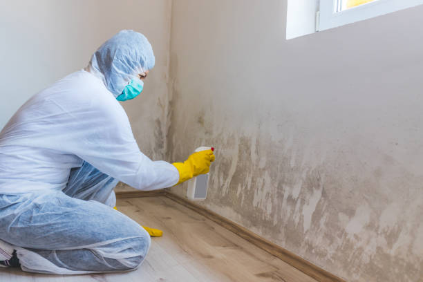 Mold inspector in Sparta performing thermal imaging